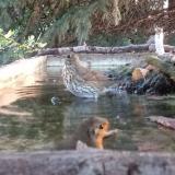 photo 2023-09-10 06-48-46