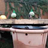 photo 2024-01-02 15-08-31