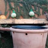 photo 2024-01-13 15-52-32