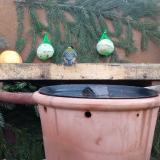 photo 2024-01-02 07-45-29