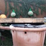 photo 2024-01-08 08-40-42