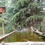 photo 2023-04-09 12-37-53