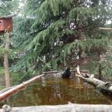 photo 2023-04-01 12-09-28