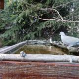 photo 2023-03-22 16-51-15