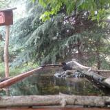 photo 2023-06-27 09-21-46