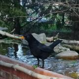 photo 2022-04-17 17-20-37 rigo