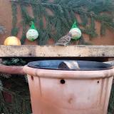 photo 2023-12-28 08-57-44