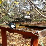 photo 2022-10-23 12-57-24