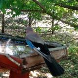 photo 2022-05-14 09-10-44