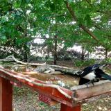 photo 2022-05-25 14-39-20