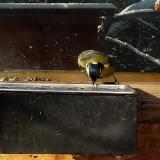 photo 2022-12-12 09-43-31