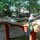 photo 2022-07-27 17-08-31