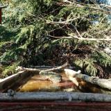 photo 2023-03-13 14-59-34