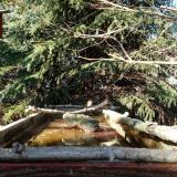 photo 2023-03-13 14-58-46