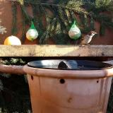 photo 2023-12-29 11-13-33