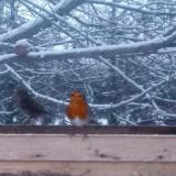 photo 2022-12-12 07-11-52