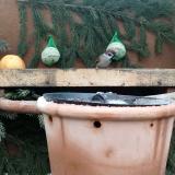 photo 2024-01-08 12-21-19