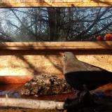 photo 2022-02-03 09-47-43