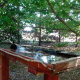 photo 2022-06-03 10-56-06