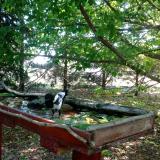 photo 2022-05-23 09-23-32