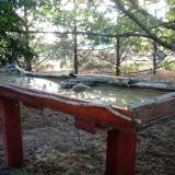 photo 2022-07-14 07-04-13