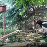 photo 2023-05-23 09-36-16