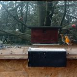 photo 2023-01-30 11-35-32