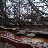 photo 2022-02-17 17-10-09