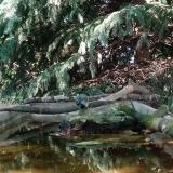 photo 2023-08-31 16-01-35