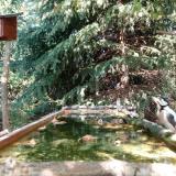 photo 2023-09-29 13-59-48