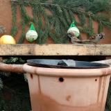 photo 2024-01-02 12-00-48