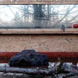 photo 2022-02-14 06-55-17