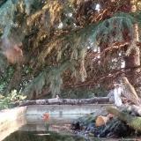 photo 2023-09-10 06-47-42