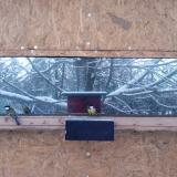 photo 2022-12-12 07-20-15