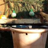 photo 2024-01-11 13-15-53