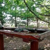 photo 2022-06-08 08-56-45