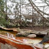 photo 2022-02-21 08-47-46