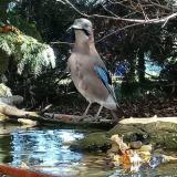 photo 2022-10-17 08-52-27 szajko