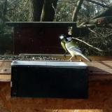 photo 2022-12-25 11-22-53