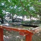 photo 2022-06-03 13-33-04