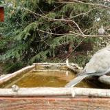 photo 2023-03-20 11-37-53