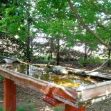 photo 2022-04-29 13-32-54