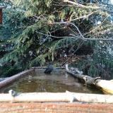 photo 2023-03-18 16-42-18