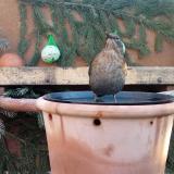 photo 2024-01-26 08-42-23