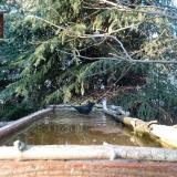 photo 2023-03-18 16-38-48