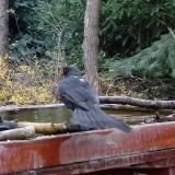 photo 2022-11-28 10-05-52