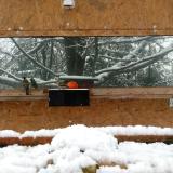 photo 2023-12-07 10-11-18