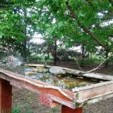 photo 2022-05-02 15-04-13