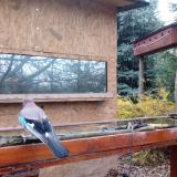 photo 2022-11-18 08-02-43