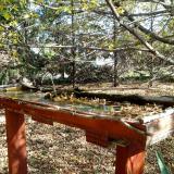 photo 2022-10-19 11-37-39